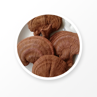 Ganoderma Lucidum Bio