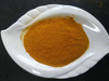 Racine de curcuma biologique