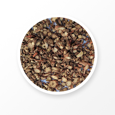 Racine de Salvia Miltiorrhiza 