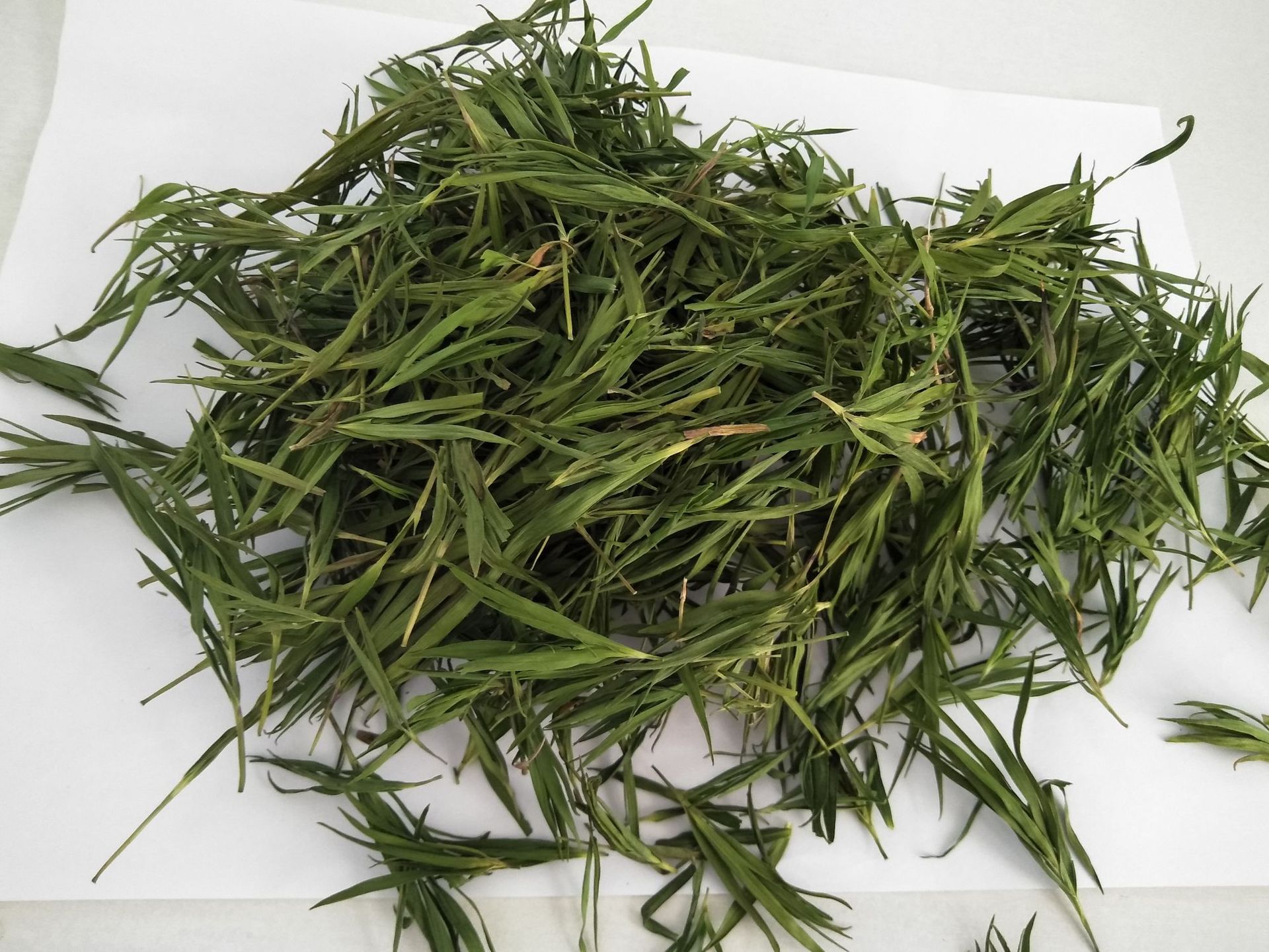 Thé minceur à la feuille de bambou