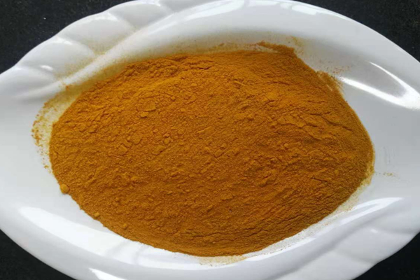 Poudre de racine de curcuma