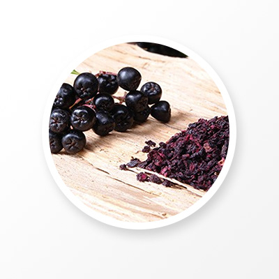 Extrait d'aronia noir