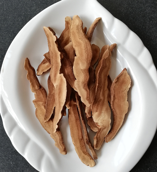 Ganoderma lucide