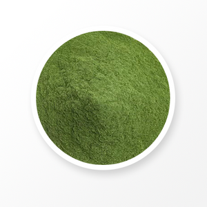 Poudre de brocoli lyophilisé